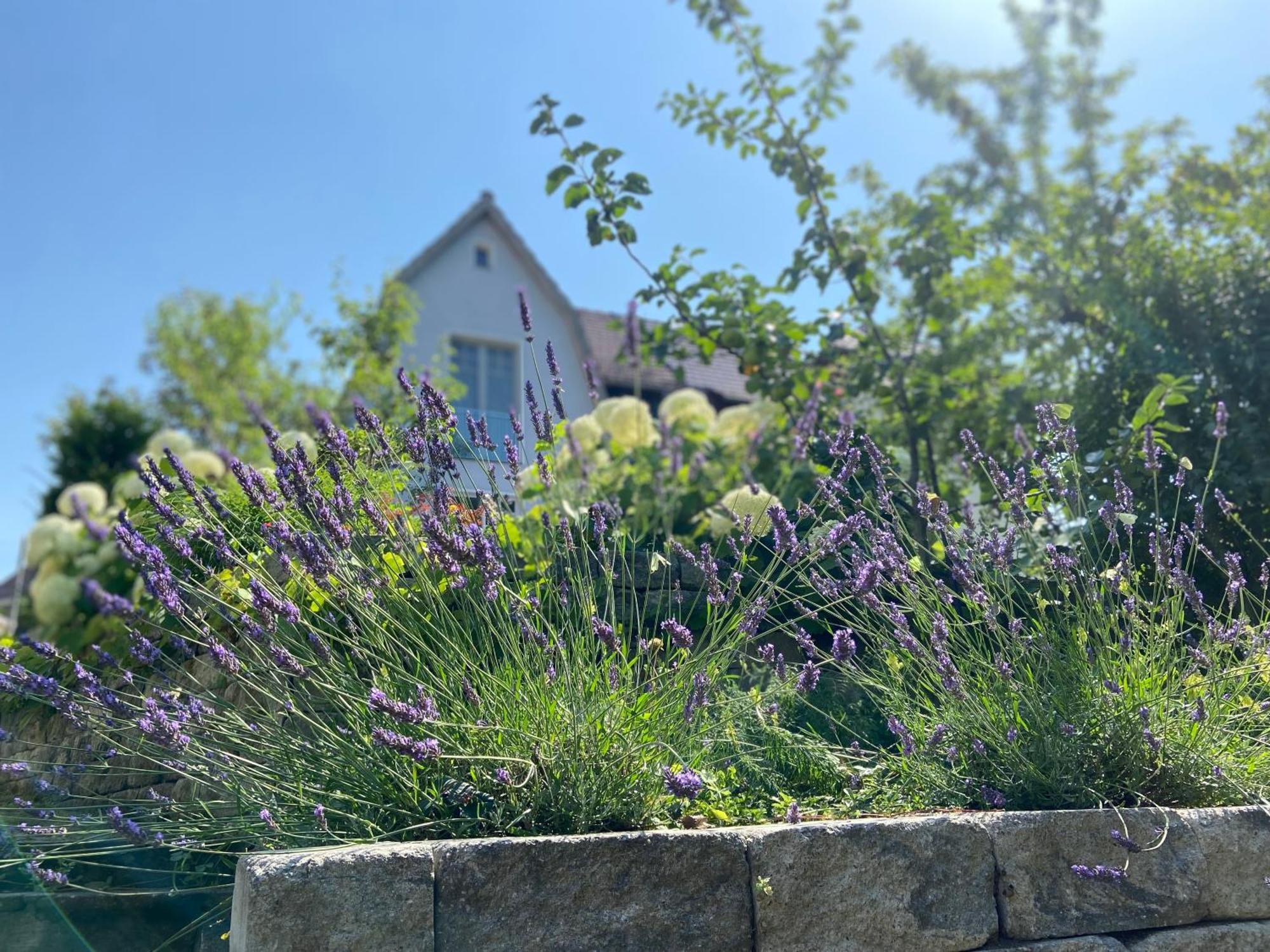 Romantik Idyll Am Tiefental Konigsbruck Zewnętrze zdjęcie